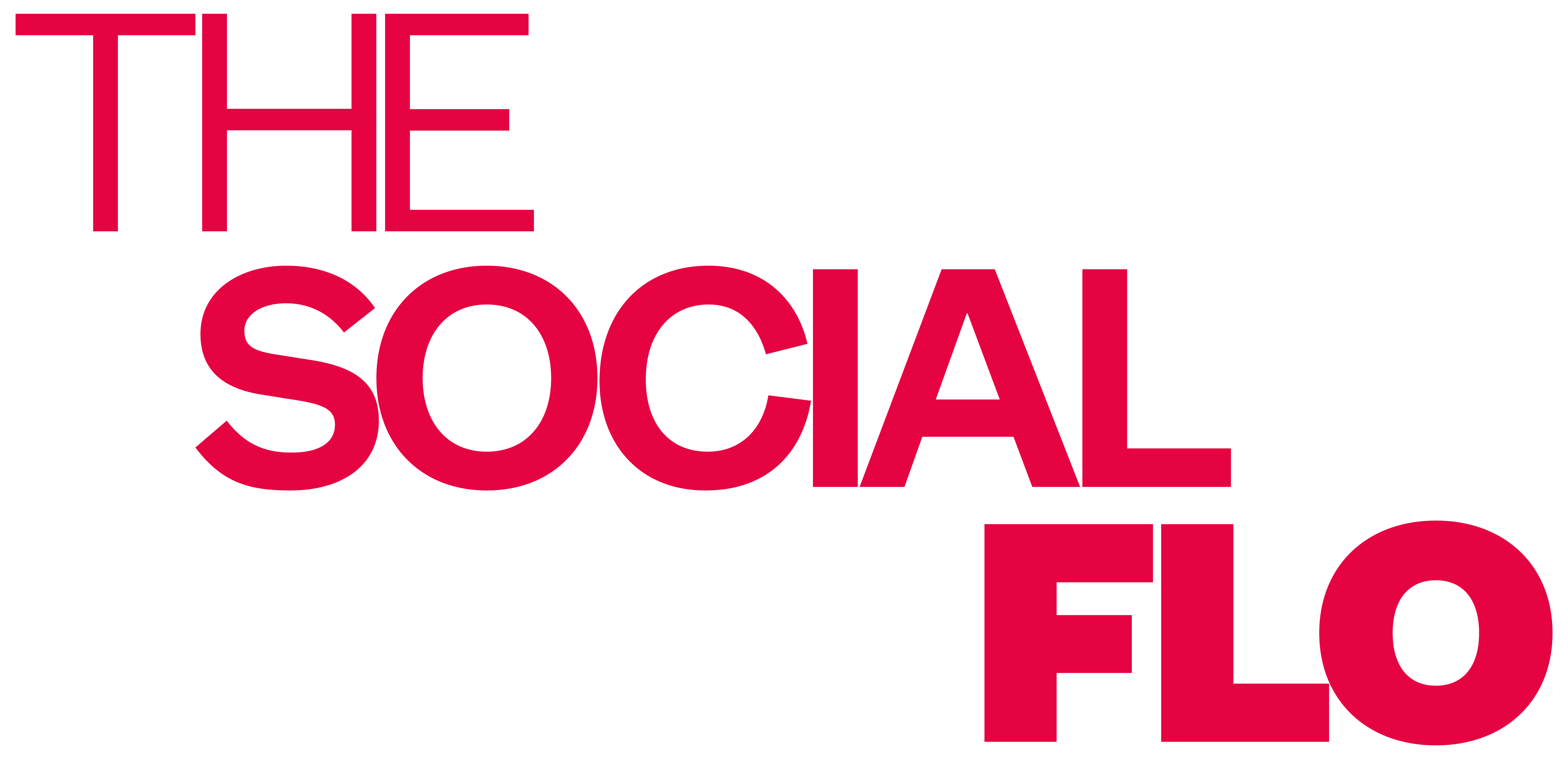 The Social Flo Logo